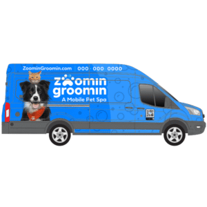 Zoomin Groomin Ford Transit HR